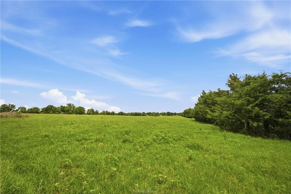 12.81 acres in Robertson County gallery image 3