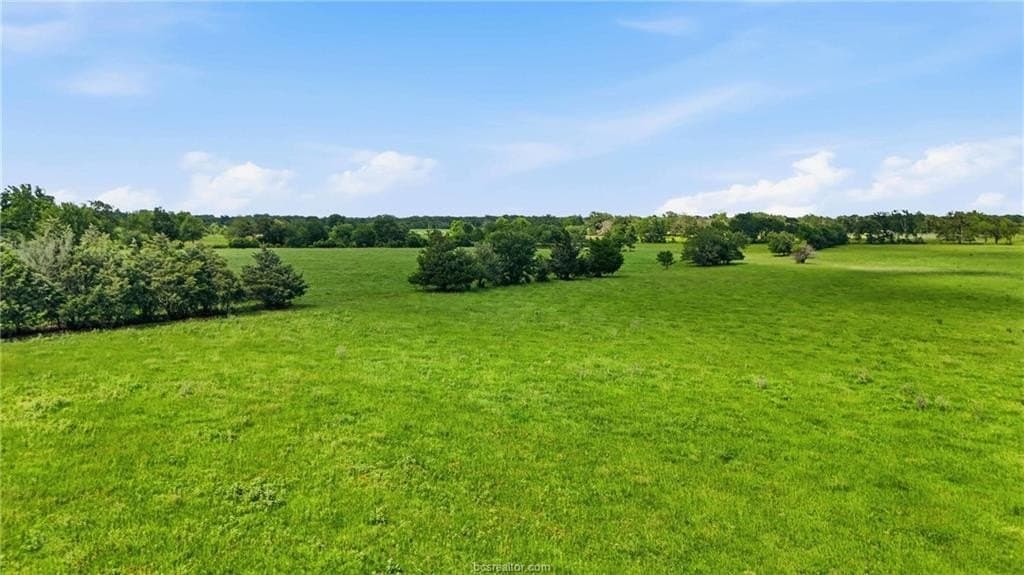 12.81 acres in Robertson County gallery image 4