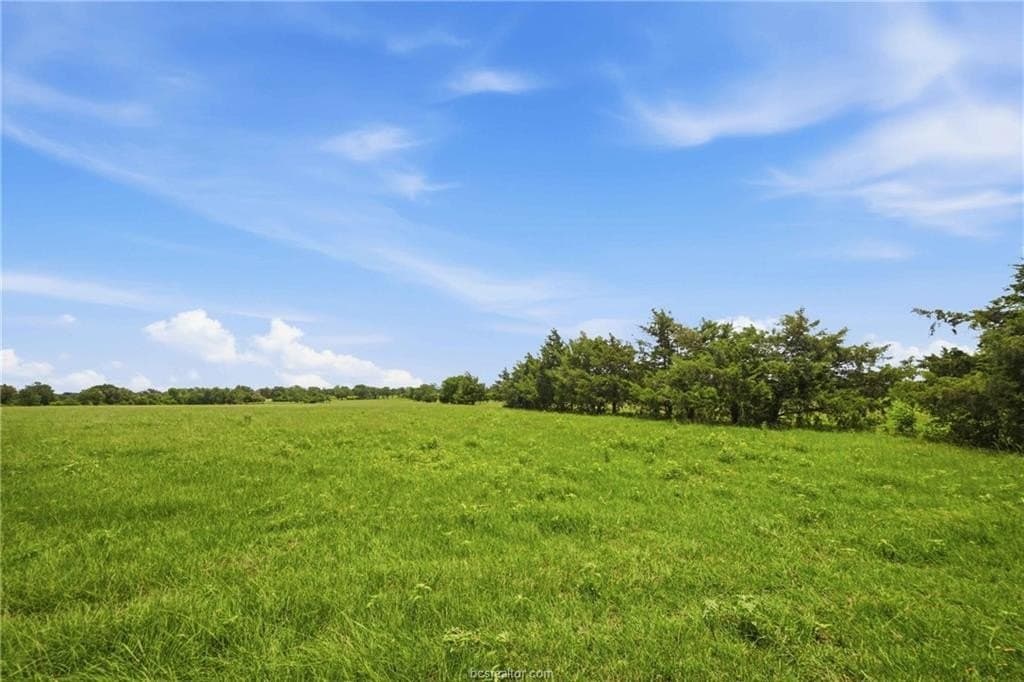 12.81 acres in Robertson County gallery image 2