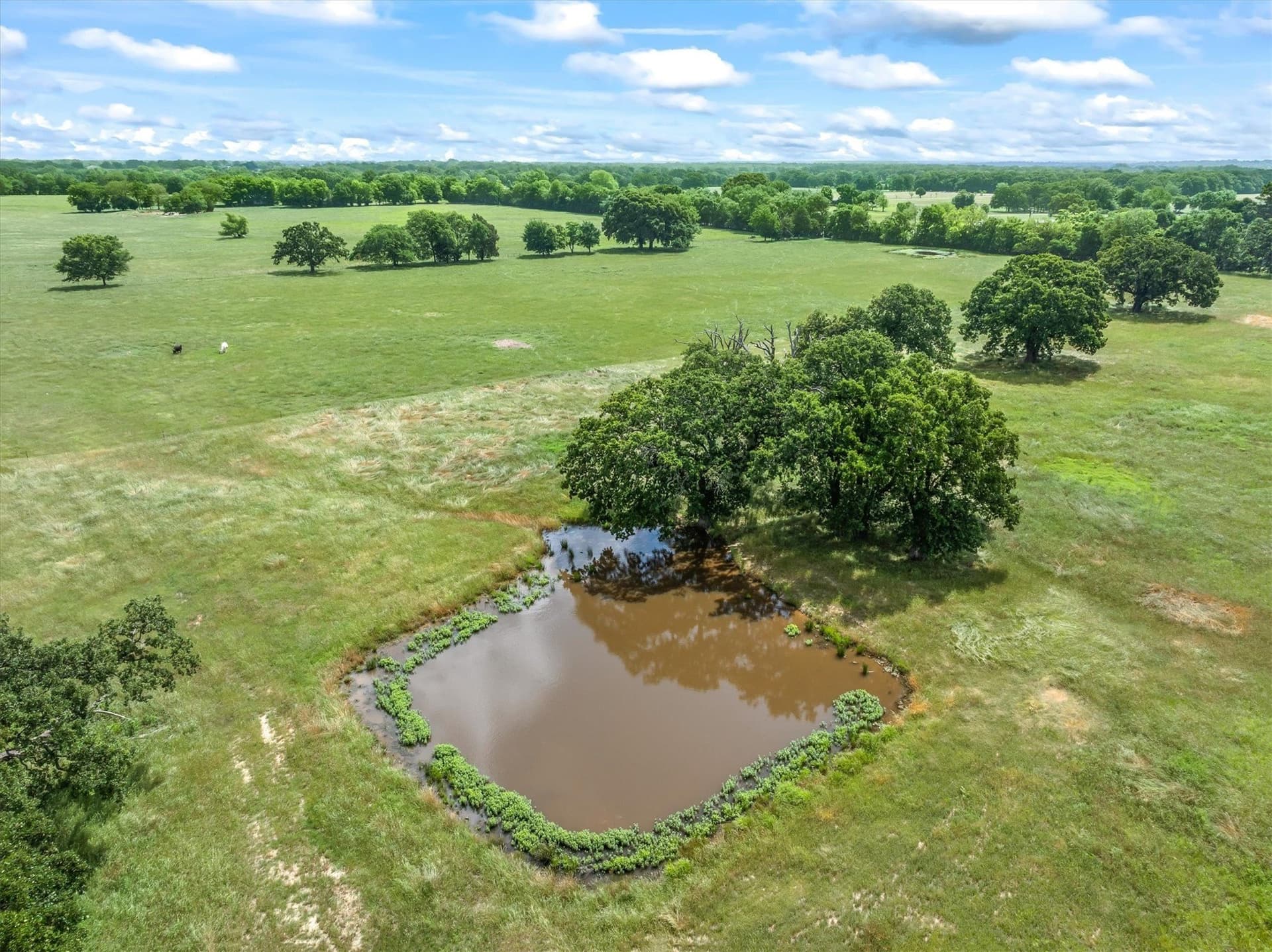 9.2 acres in Van Zandt County - photo 6