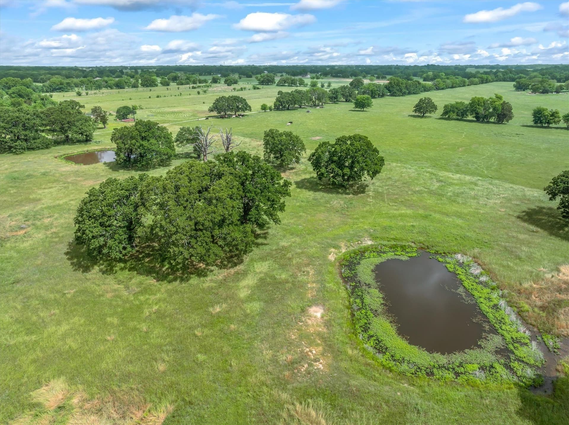 9.2 acres in Van Zandt County featured view