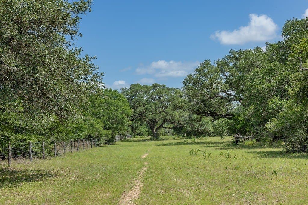 535.78 acres in Colorado County - photo 7