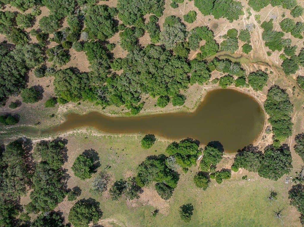 535.78 acres in Colorado County - photo 6