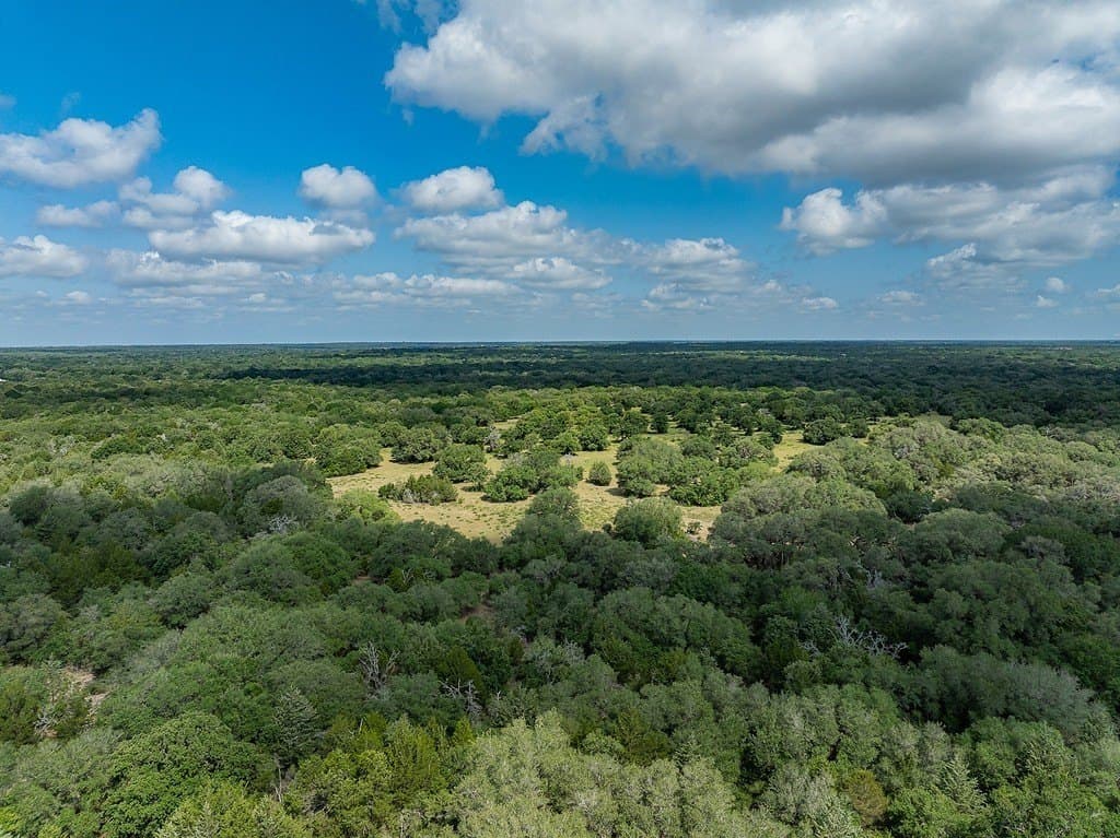 535.78 acres in Colorado County - photo 24