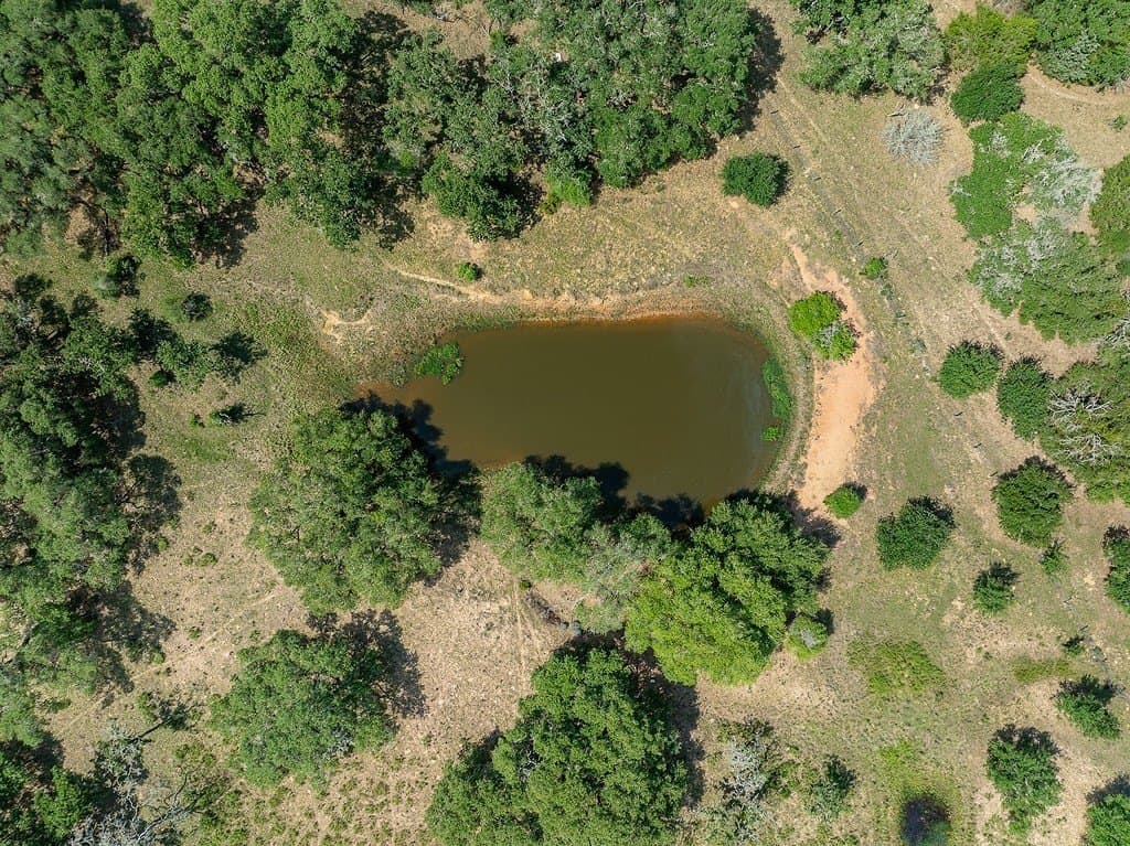 535.78 acres in Colorado County - photo 22