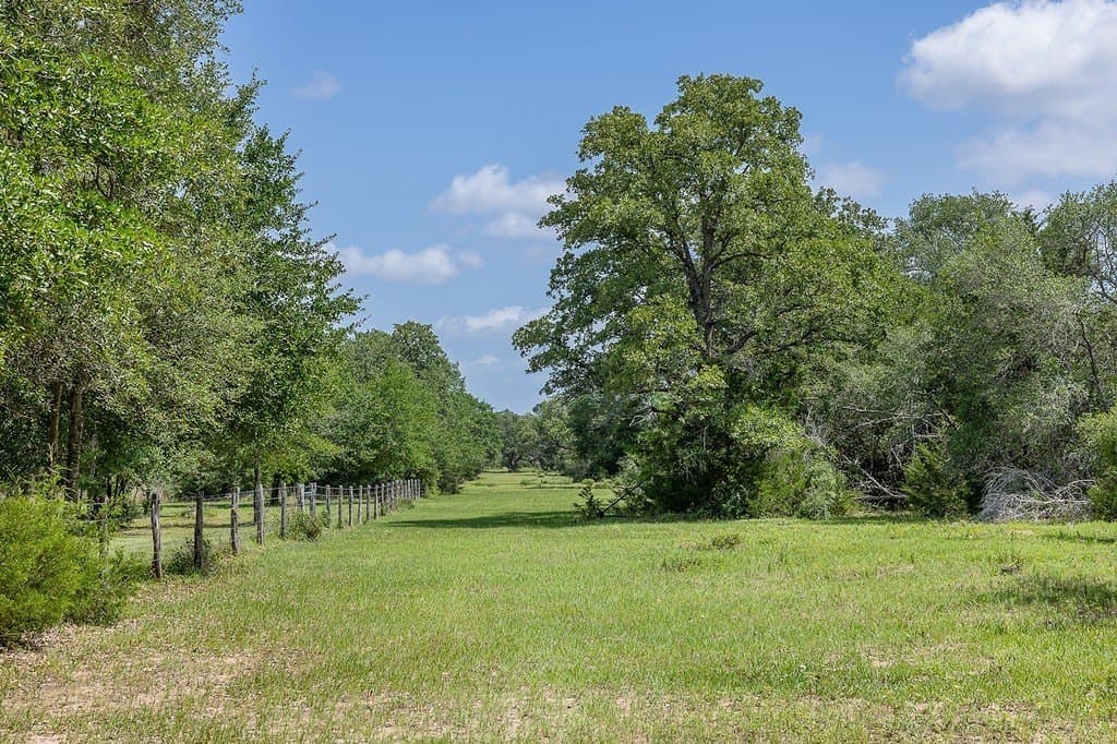 535.78 acres in Colorado County - photo 23