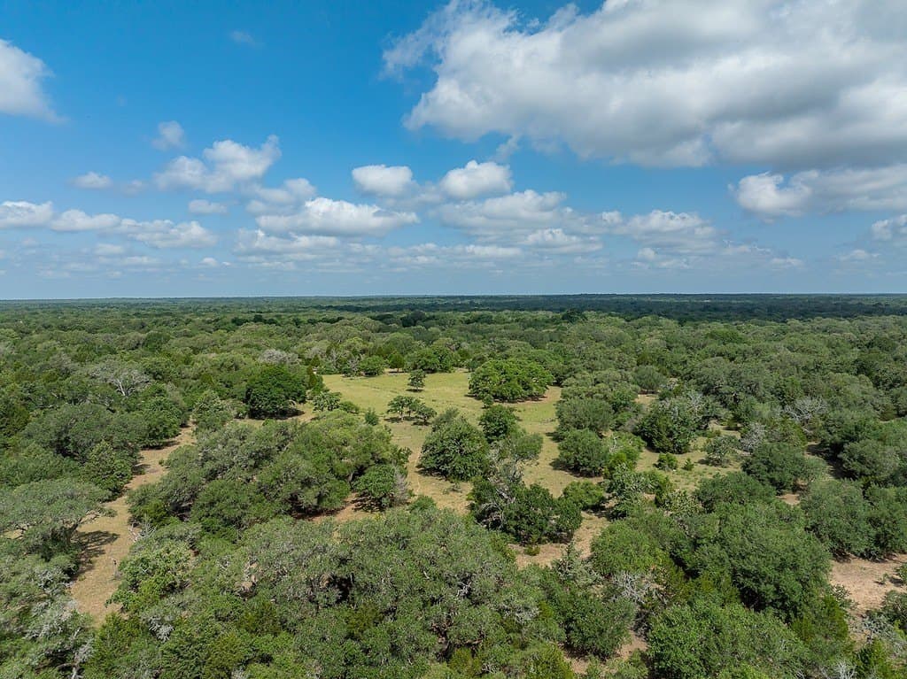 535.78 acres in Colorado County - photo 20