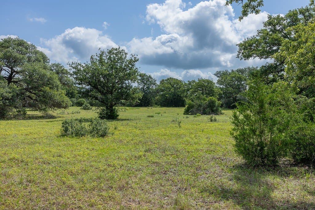 535.78 acres in Colorado County - photo 16