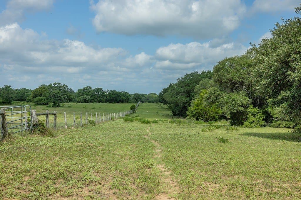 535.78 acres in Colorado County - photo 19