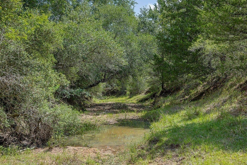 535.78 acres in Colorado County - photo 14