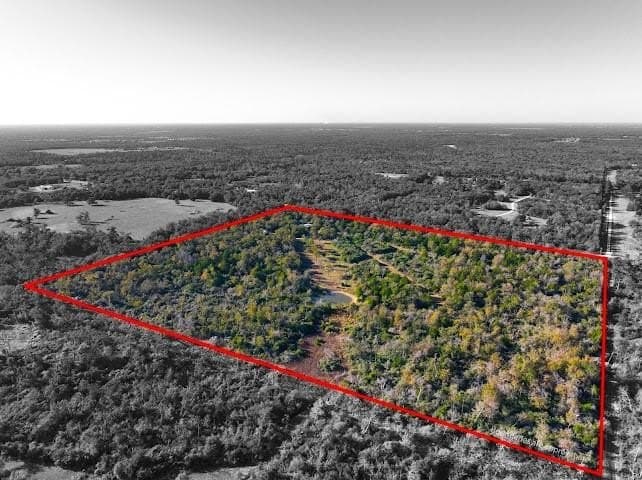 30.19 acres in Limestone County gallery image 4