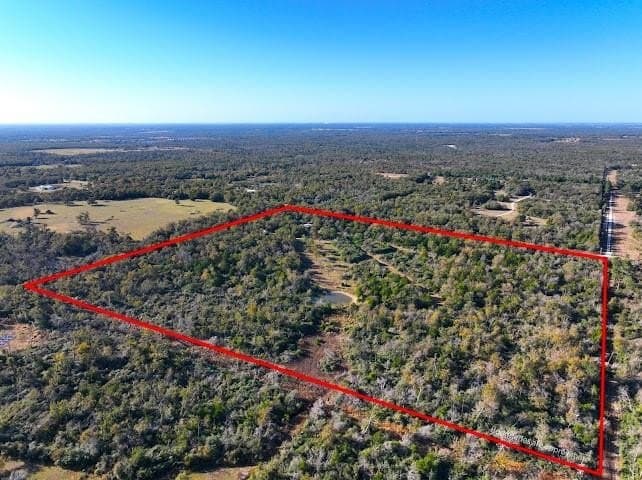 30.19 acres in Limestone County gallery image 2