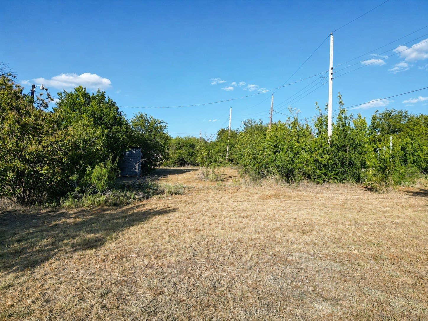 0.5 acres in Eastland County - photo 12