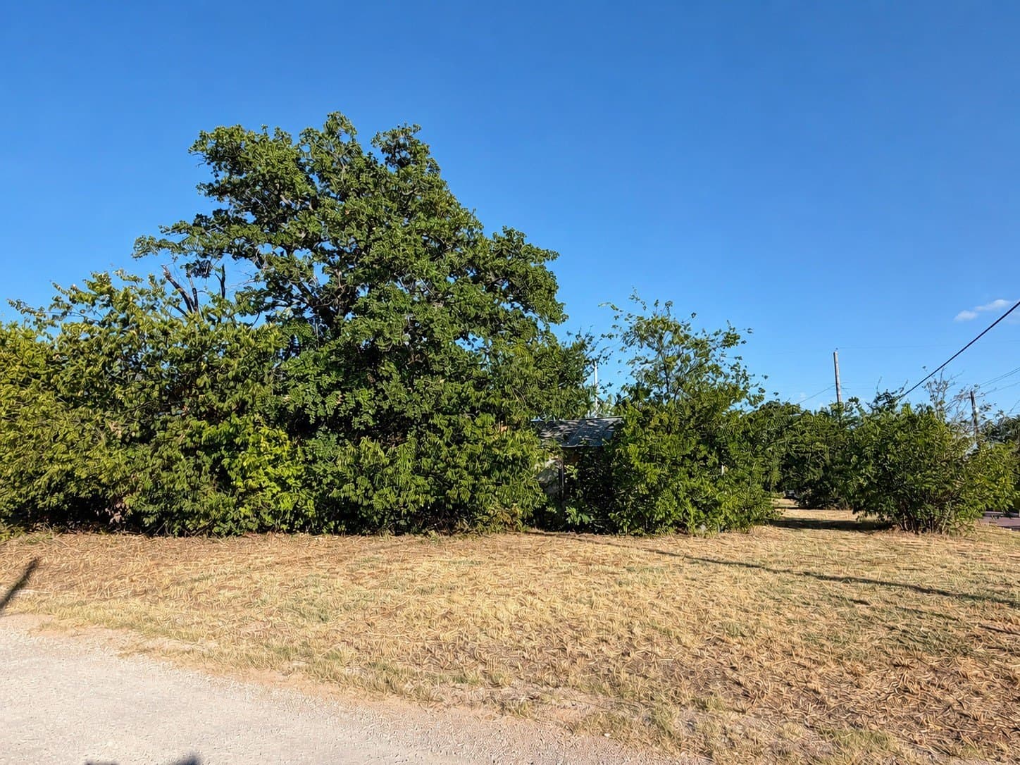 0.5 acres in Eastland County - photo 13