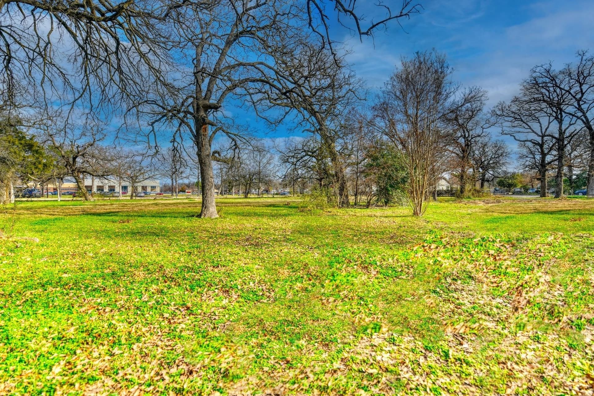 0.98 acres in Dallas County gallery image 3