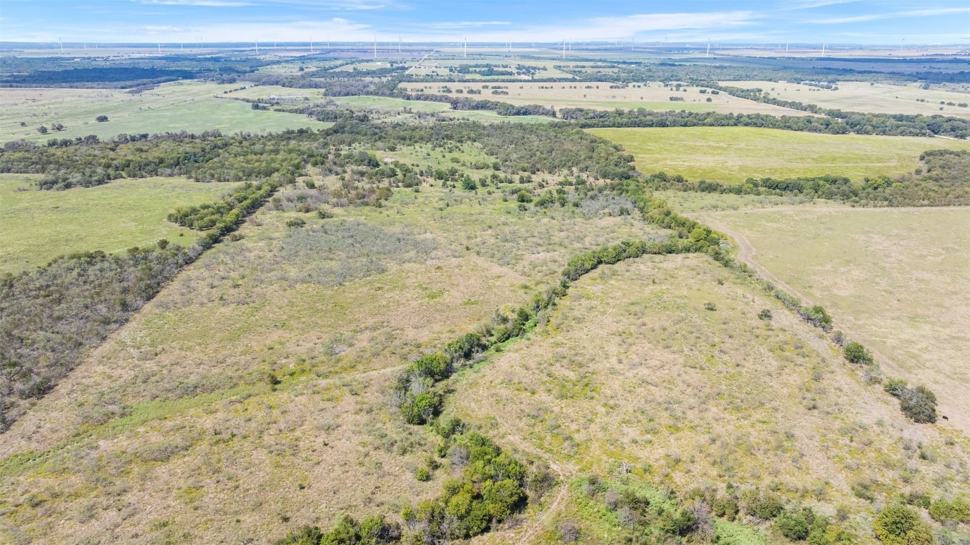 143.17 acres in Limestone County - photo 16