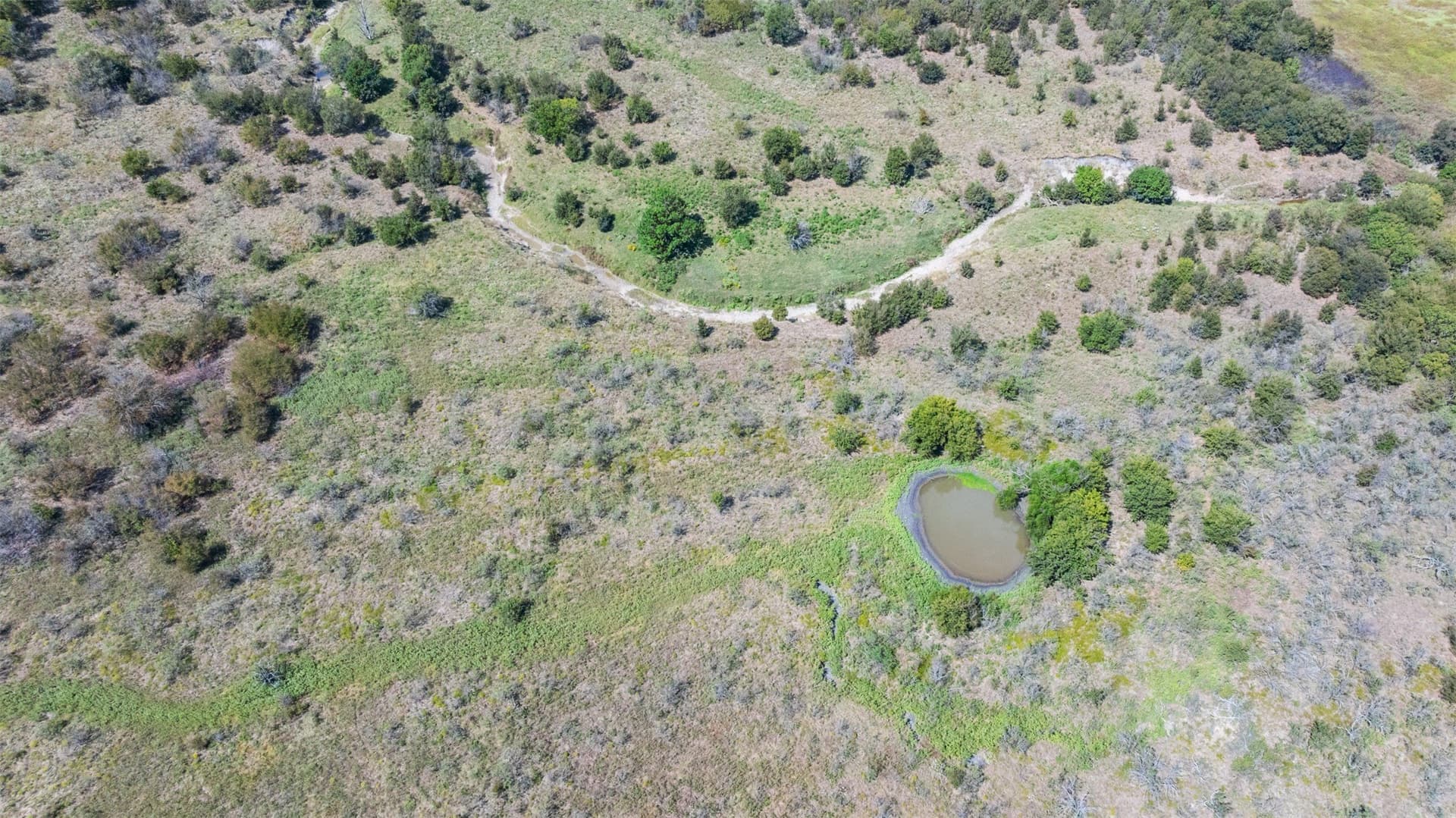 143.17 acres in Limestone County - photo 18