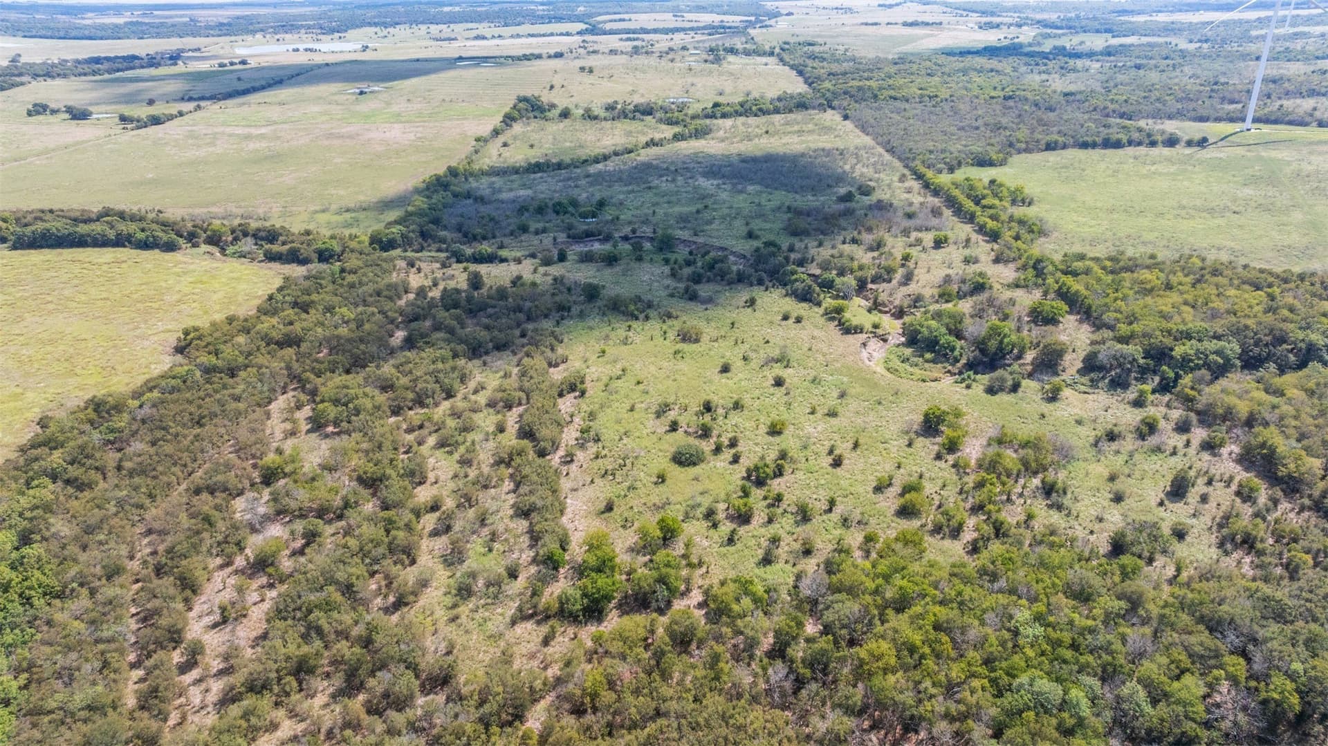 143.17 acres in Limestone County - photo 20
