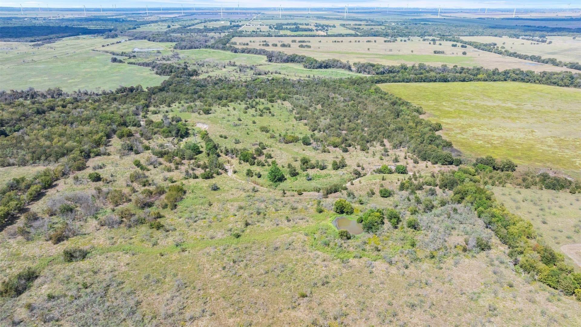 143.17 acres in Limestone County - photo 17