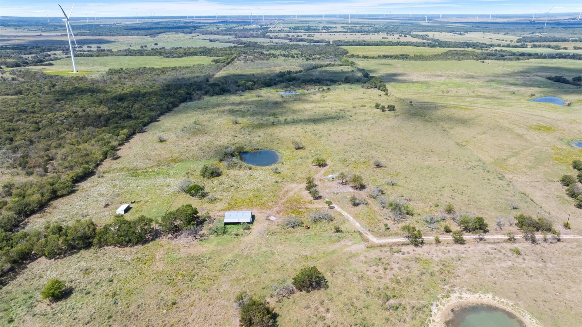 143.17 acres in Limestone County - photo 12