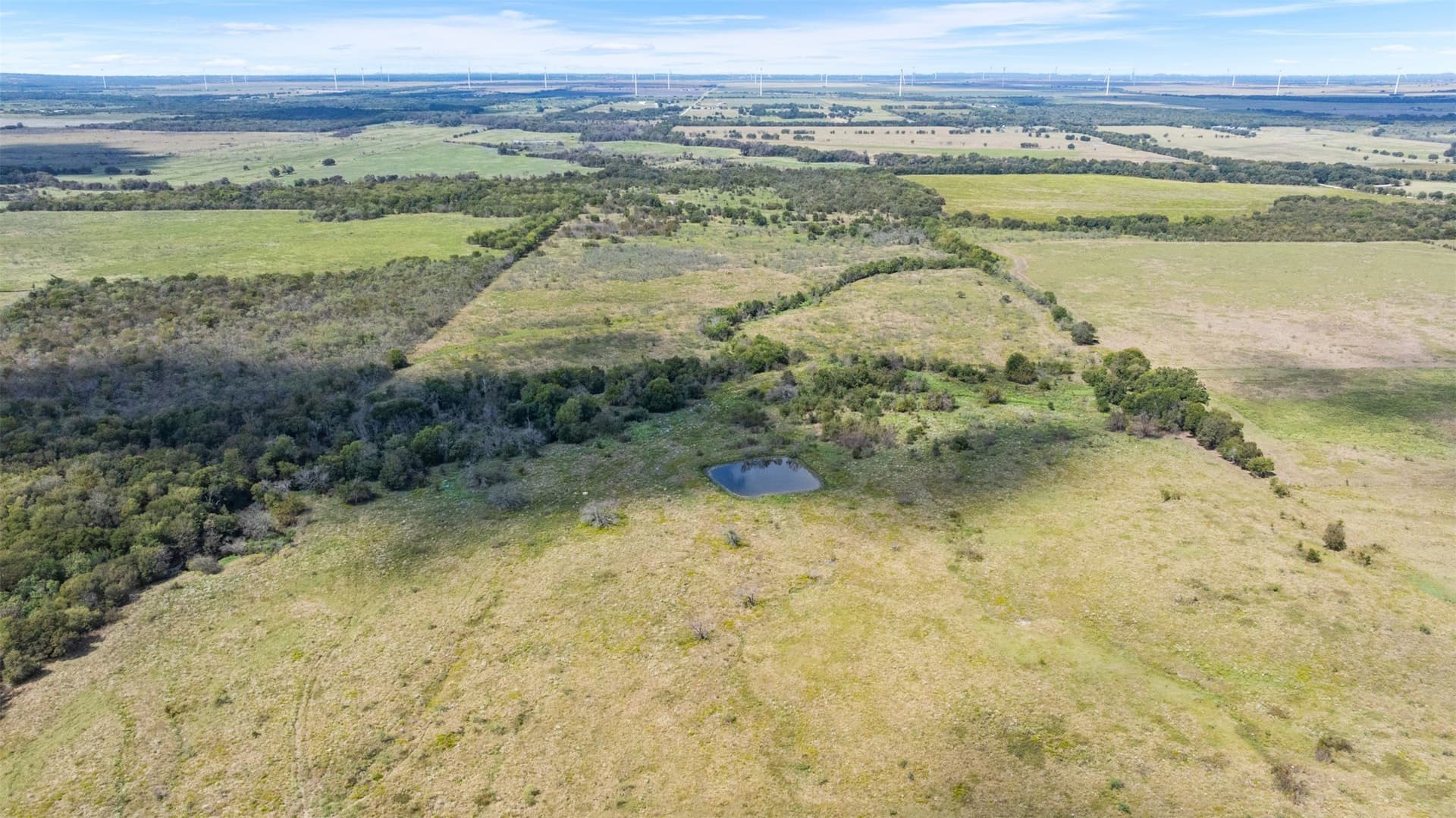143.17 acres in Limestone County - photo 14