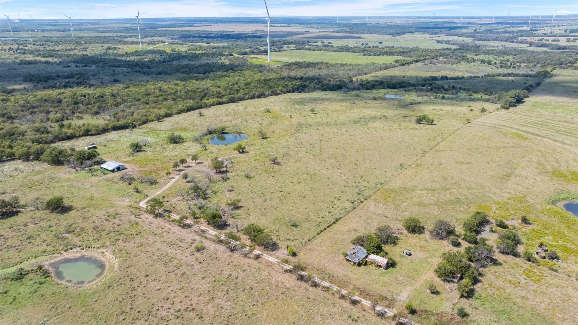 143.17 acres in Limestone County - photo 11