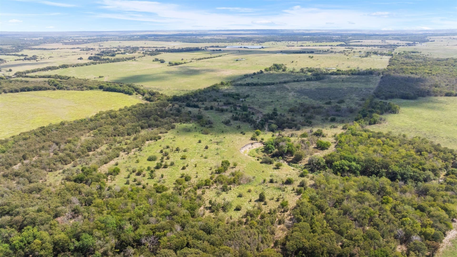 143.17 acres in Limestone County gallery image 4