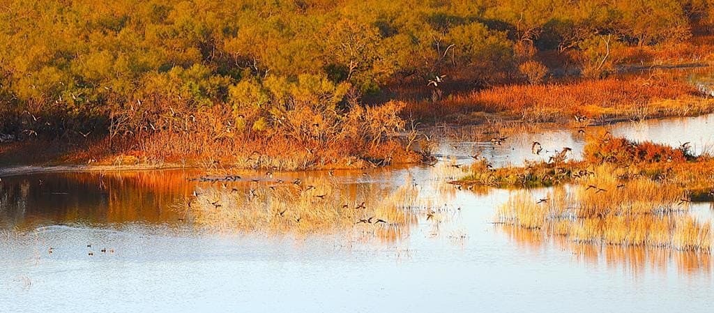 1,042 acres in Concho County gallery image 3
