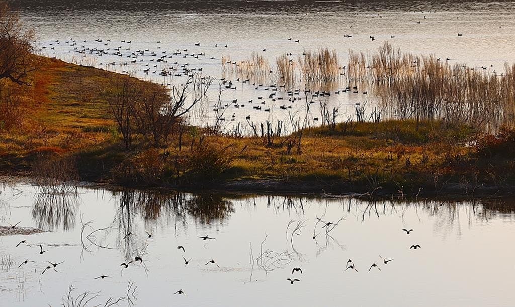 1,042 acres in Concho County gallery image 2