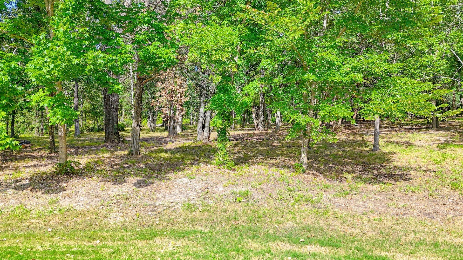 1.06 acres in Navarro County - photo 5