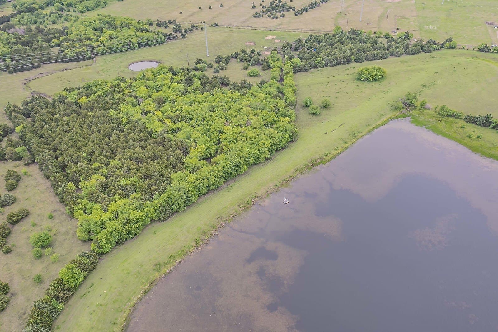 61.73 acres in Rockwall County gallery image 4