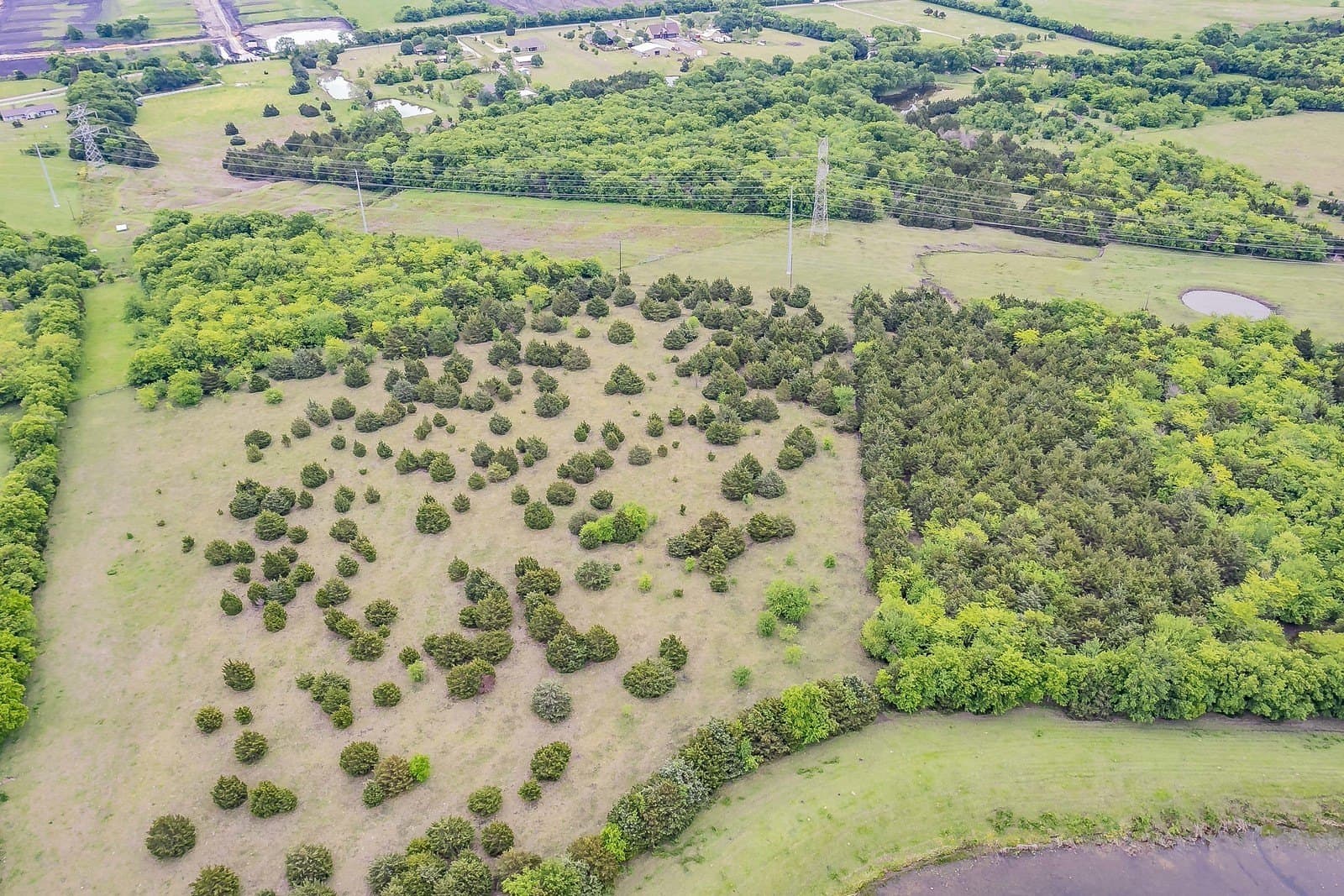 61.73 acres in Rockwall County featured view