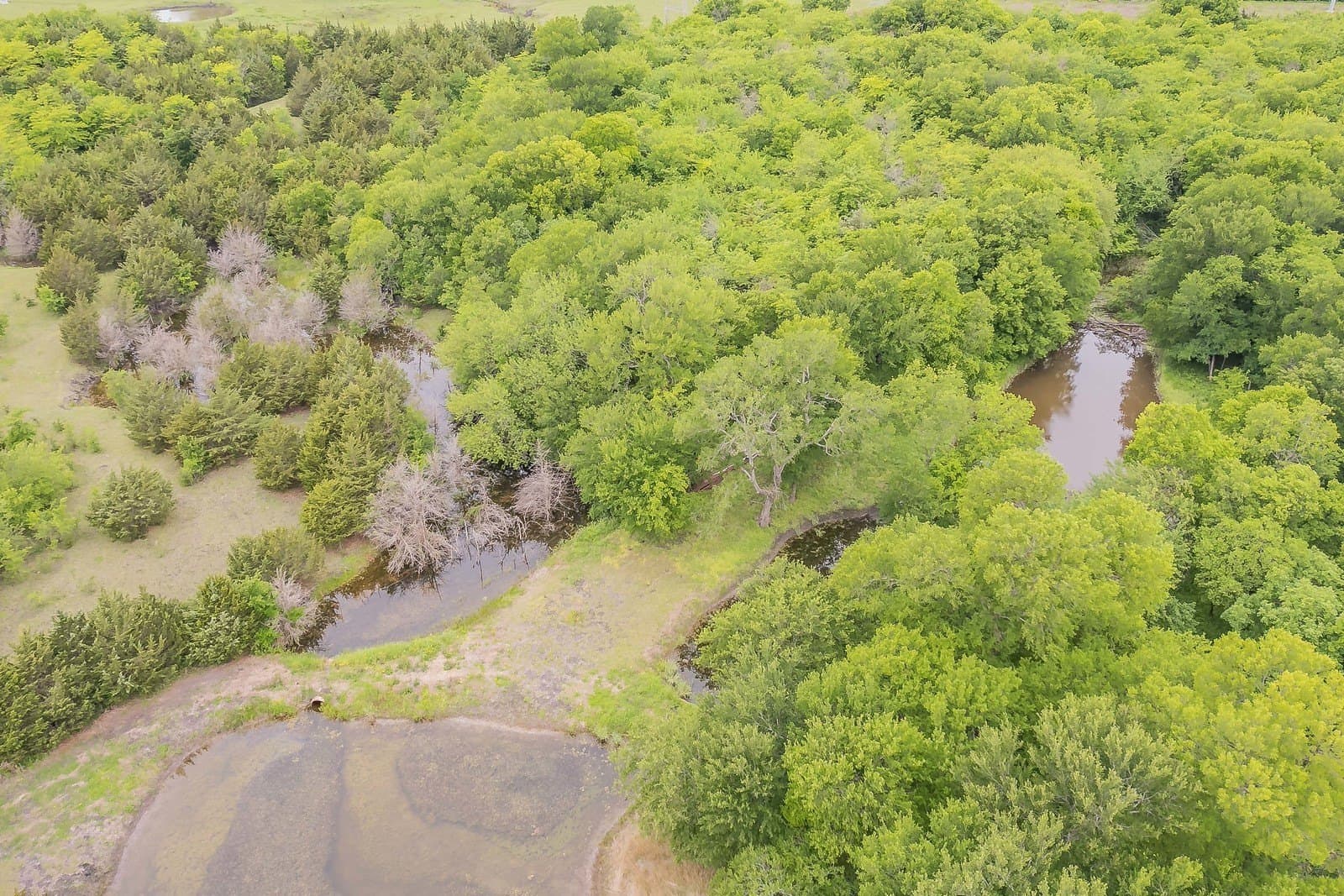 61.73 acres in Rockwall County - photo 17