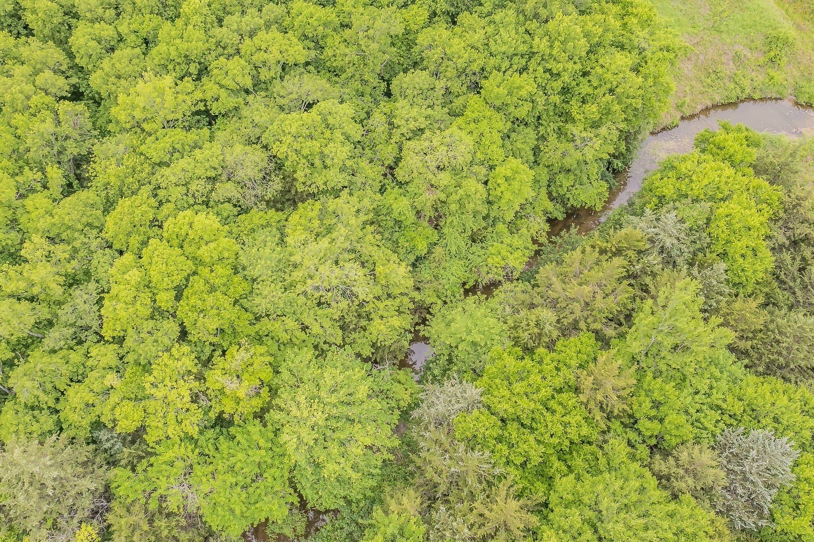61.73 acres in Rockwall County - photo 19