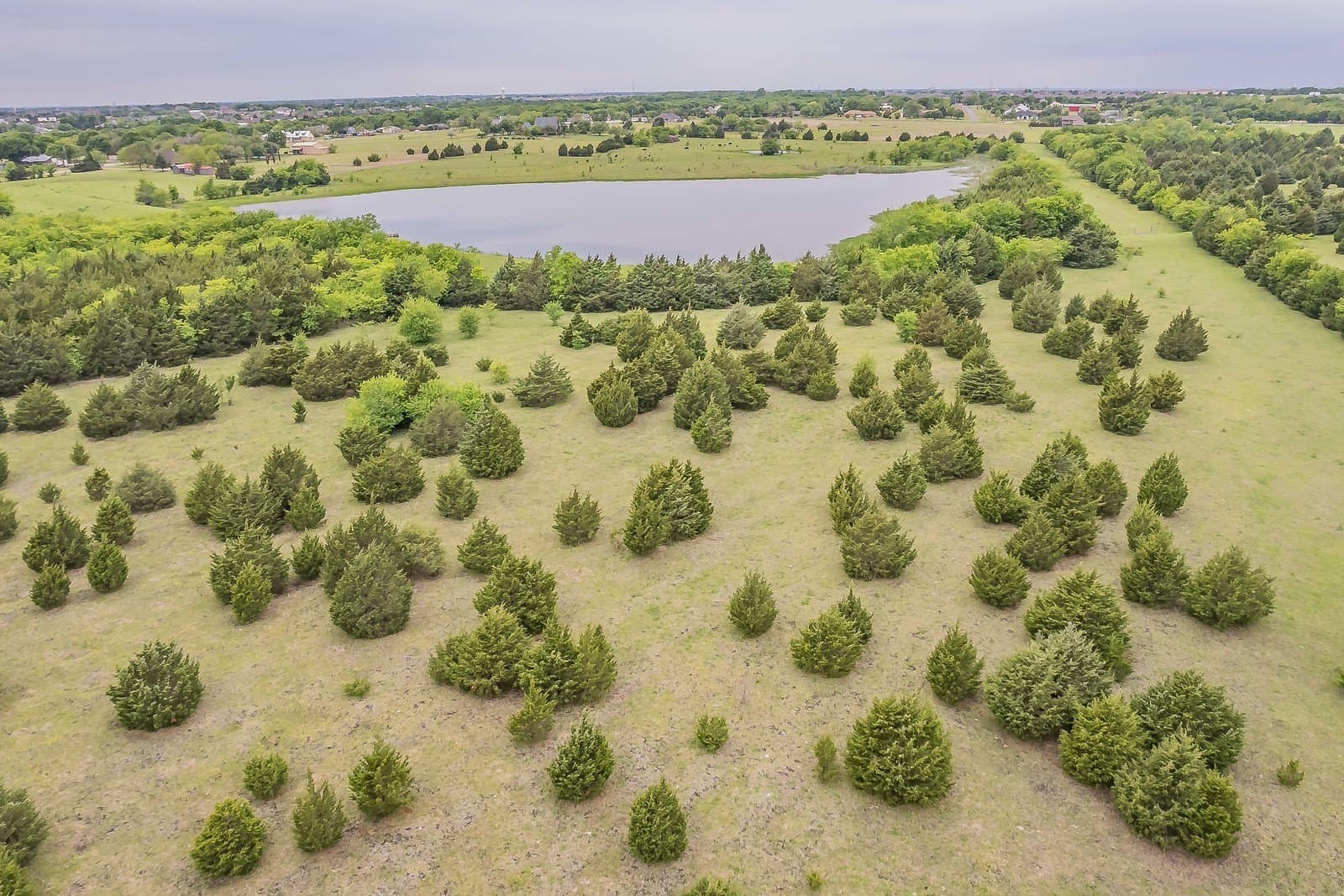61.73 acres in Rockwall County - photo 23