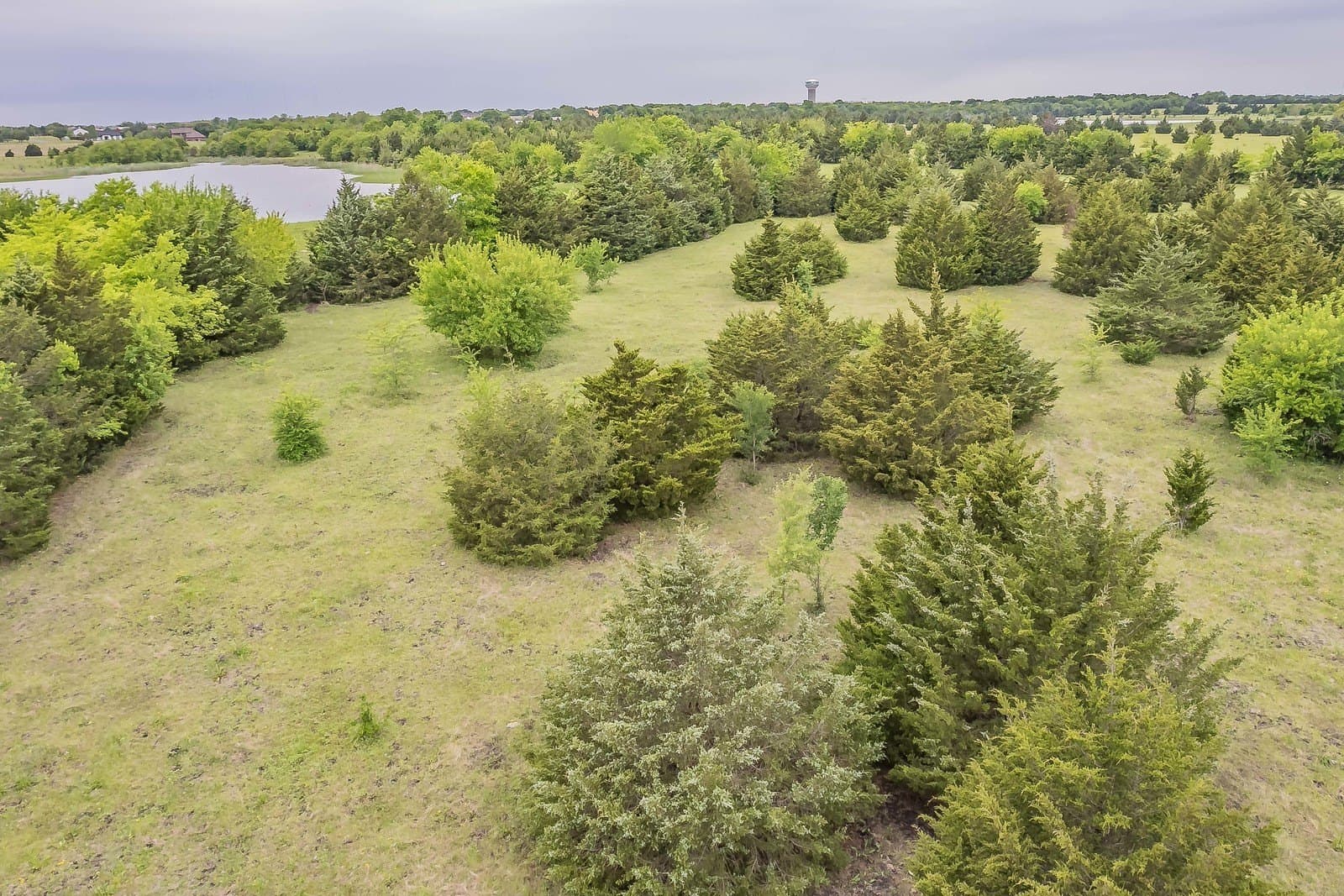 61.73 acres in Rockwall County - photo 24