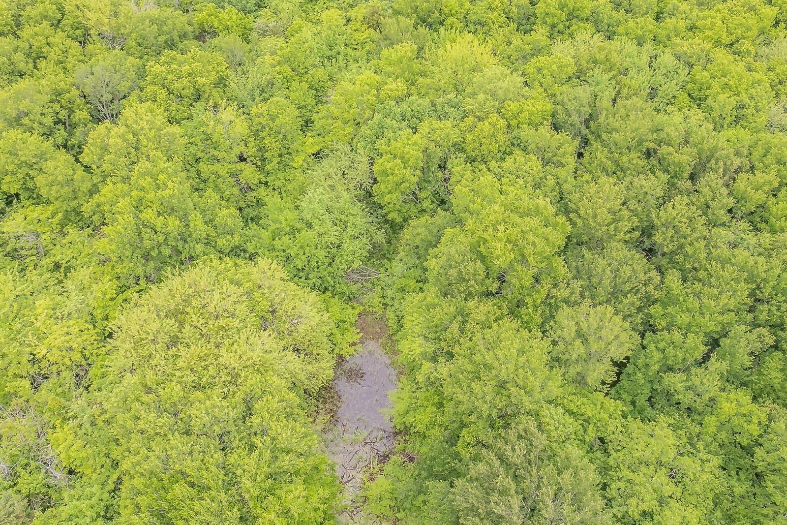 61.73 acres in Rockwall County - photo 18