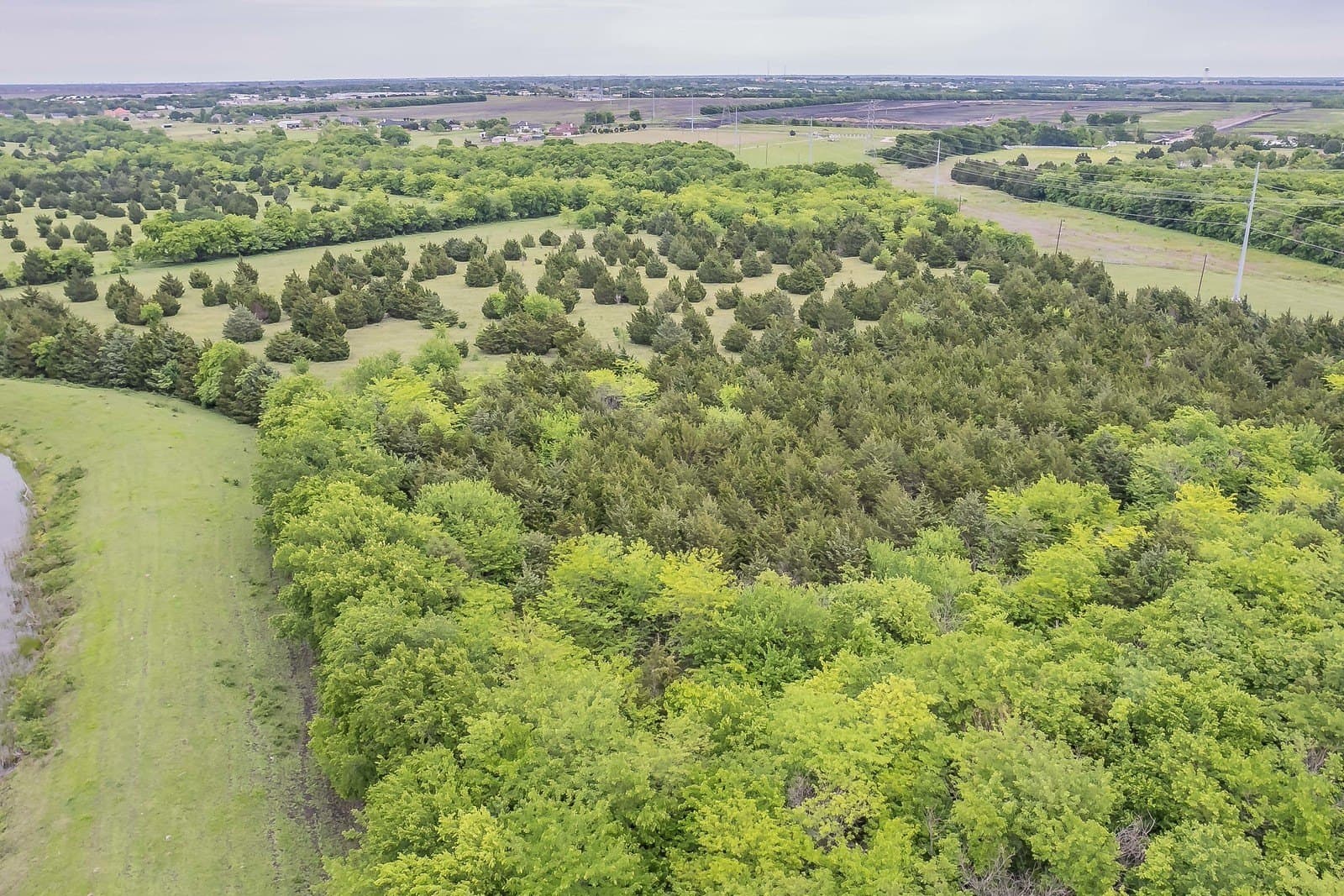 61.73 acres in Rockwall County - photo 10