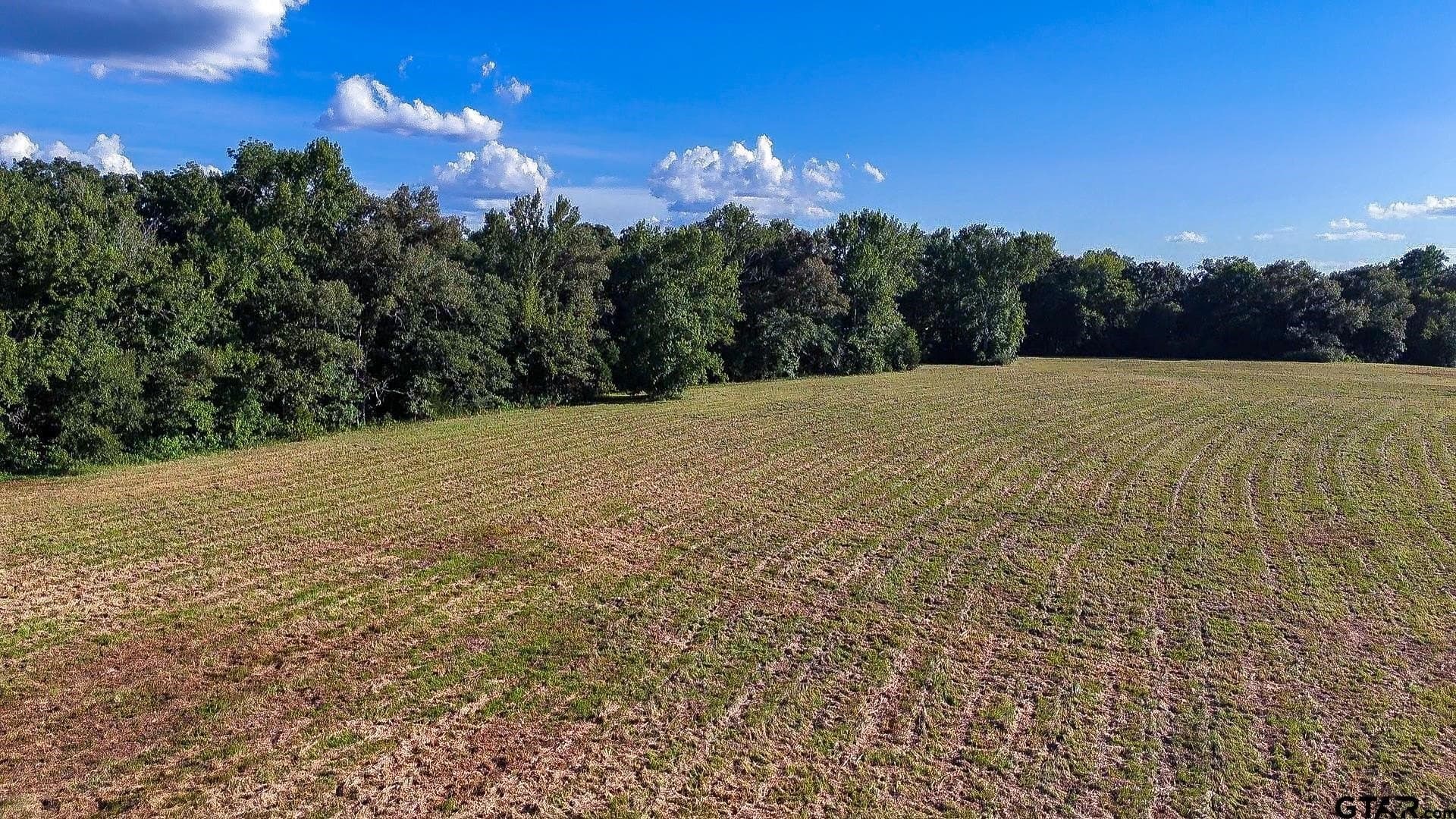 49.79 acres in Wood County - photo 3