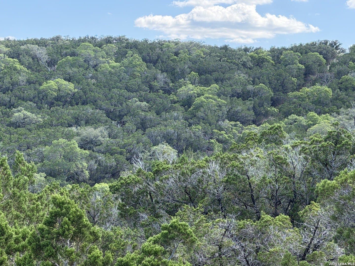 1.37 acres in Bandera County - photo 10