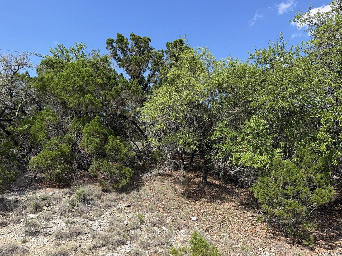 1.37 acres in Bandera County - photo 8