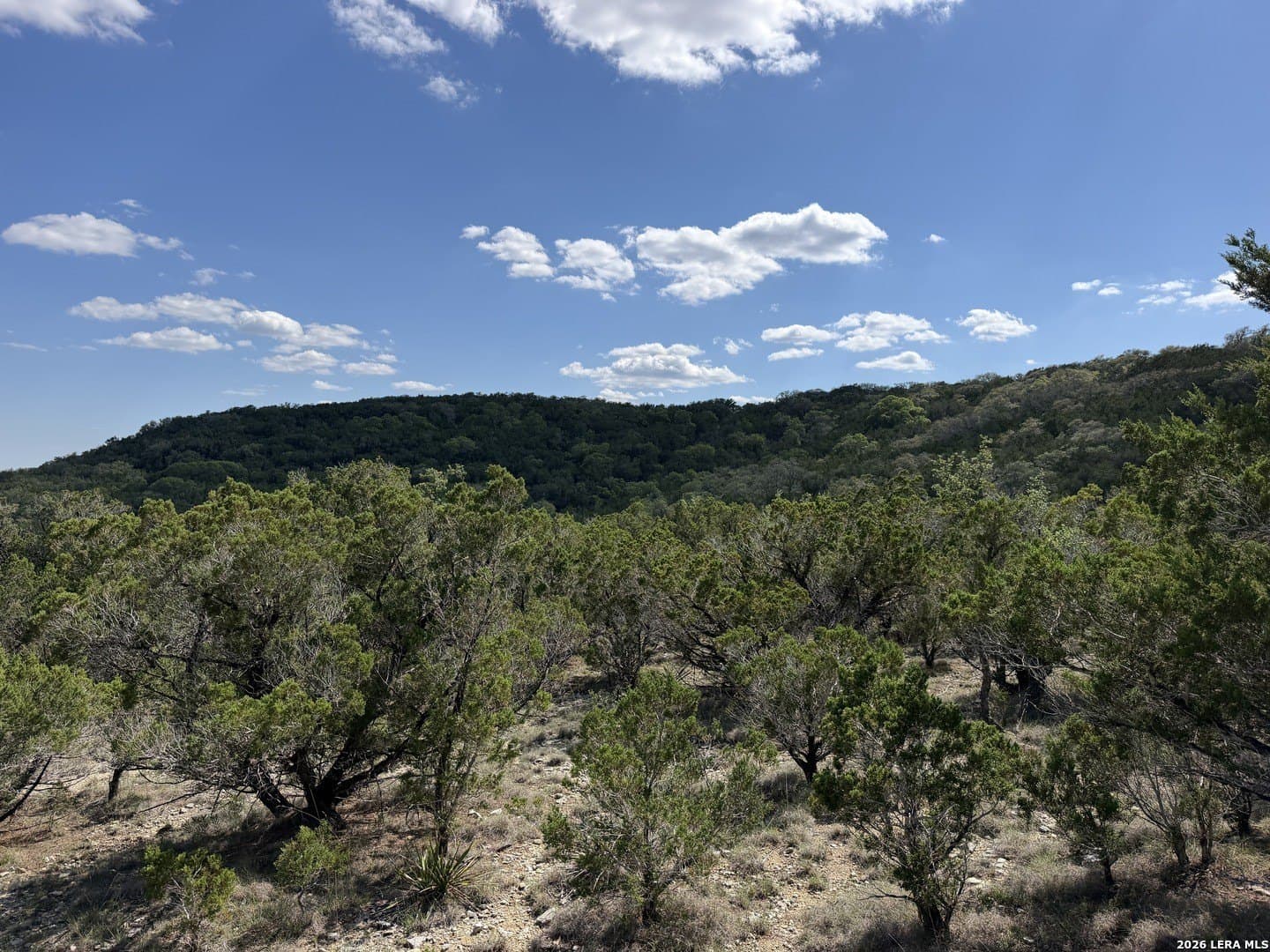 1.37 acres in Bandera County - photo 12