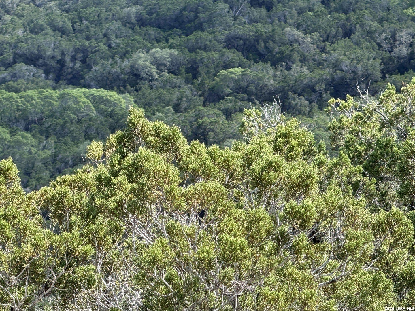 1.37 acres in Bandera County - photo 15