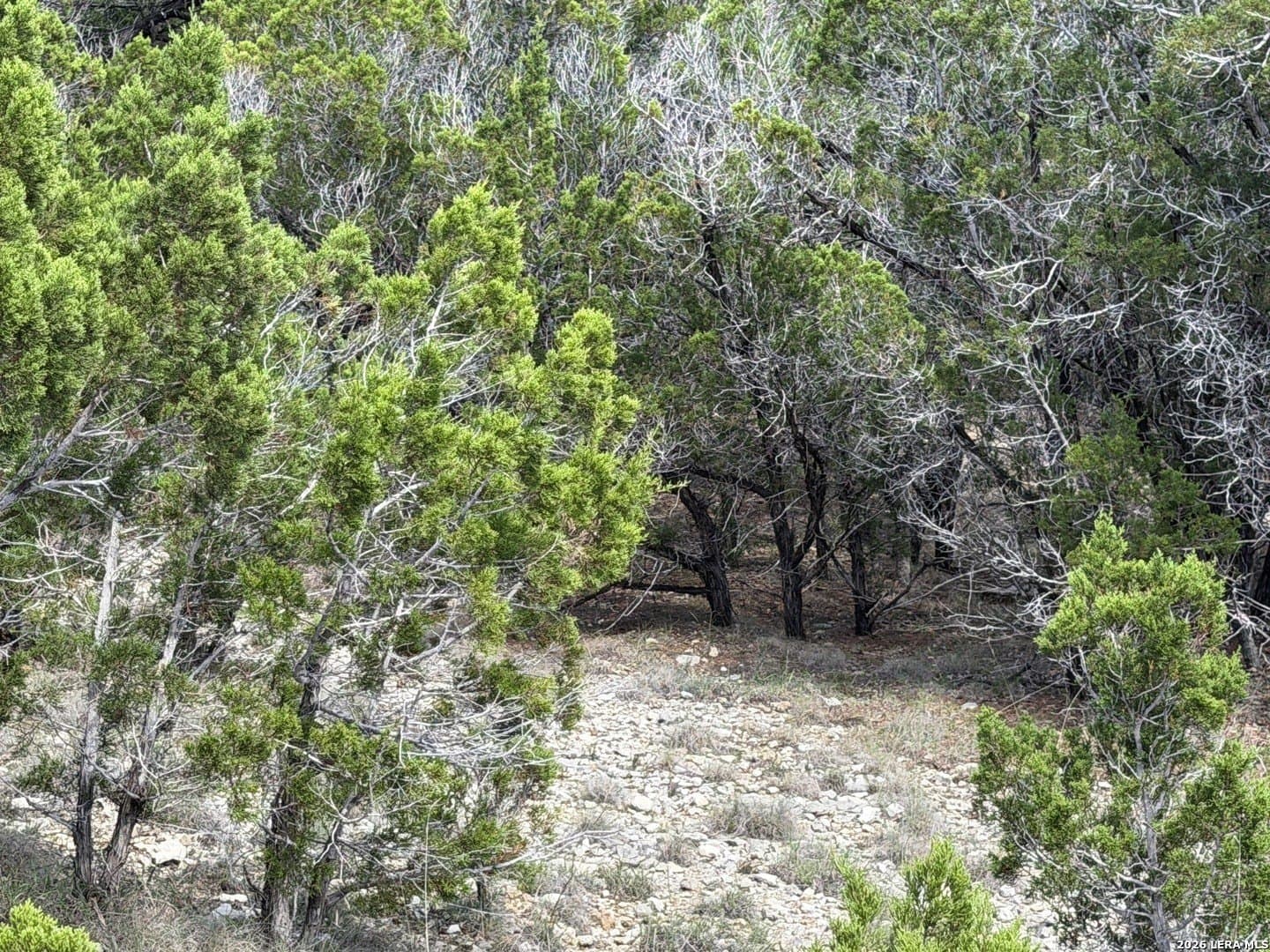 1.37 acres in Bandera County - photo 14