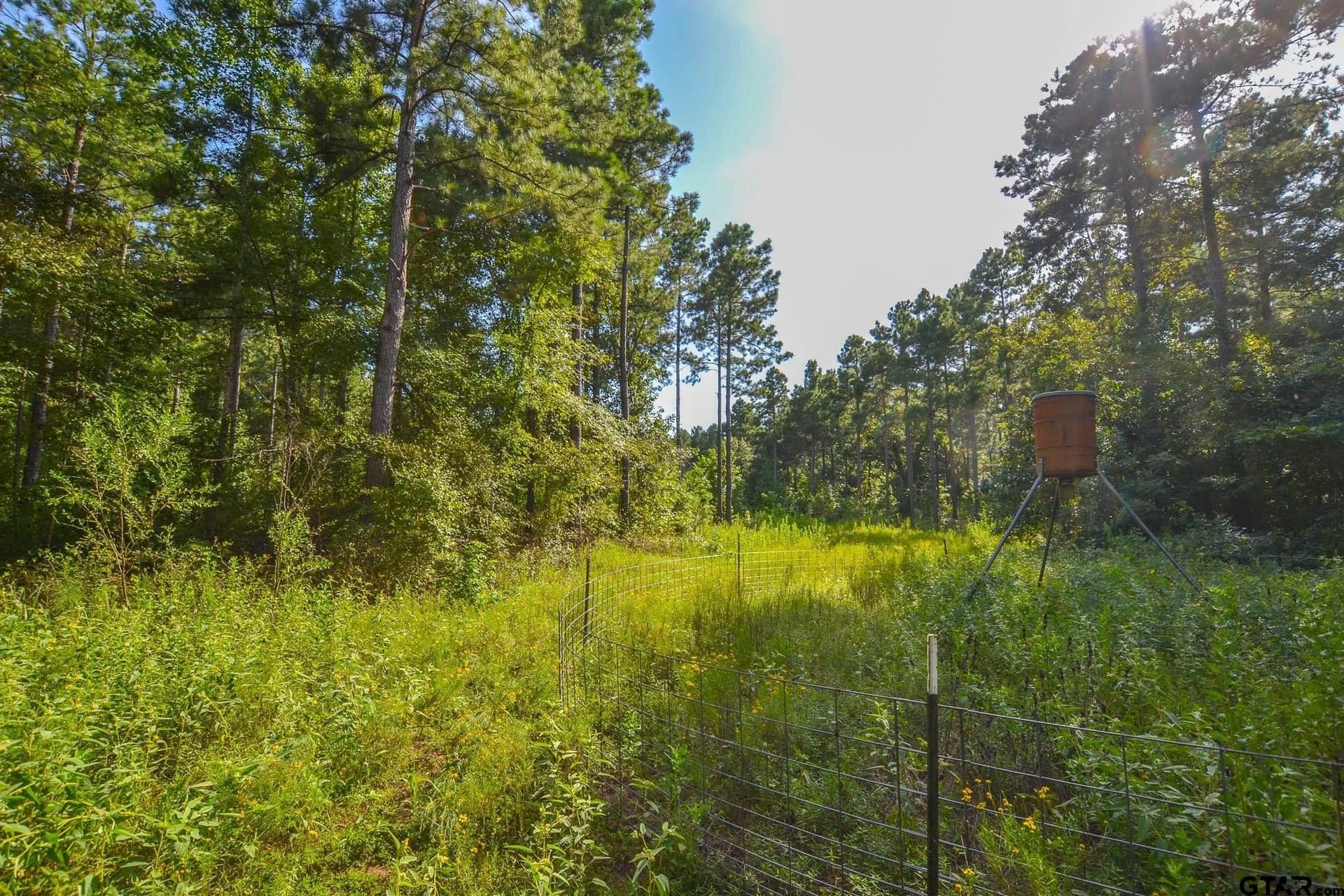 30 acres in Henderson County - photo 3