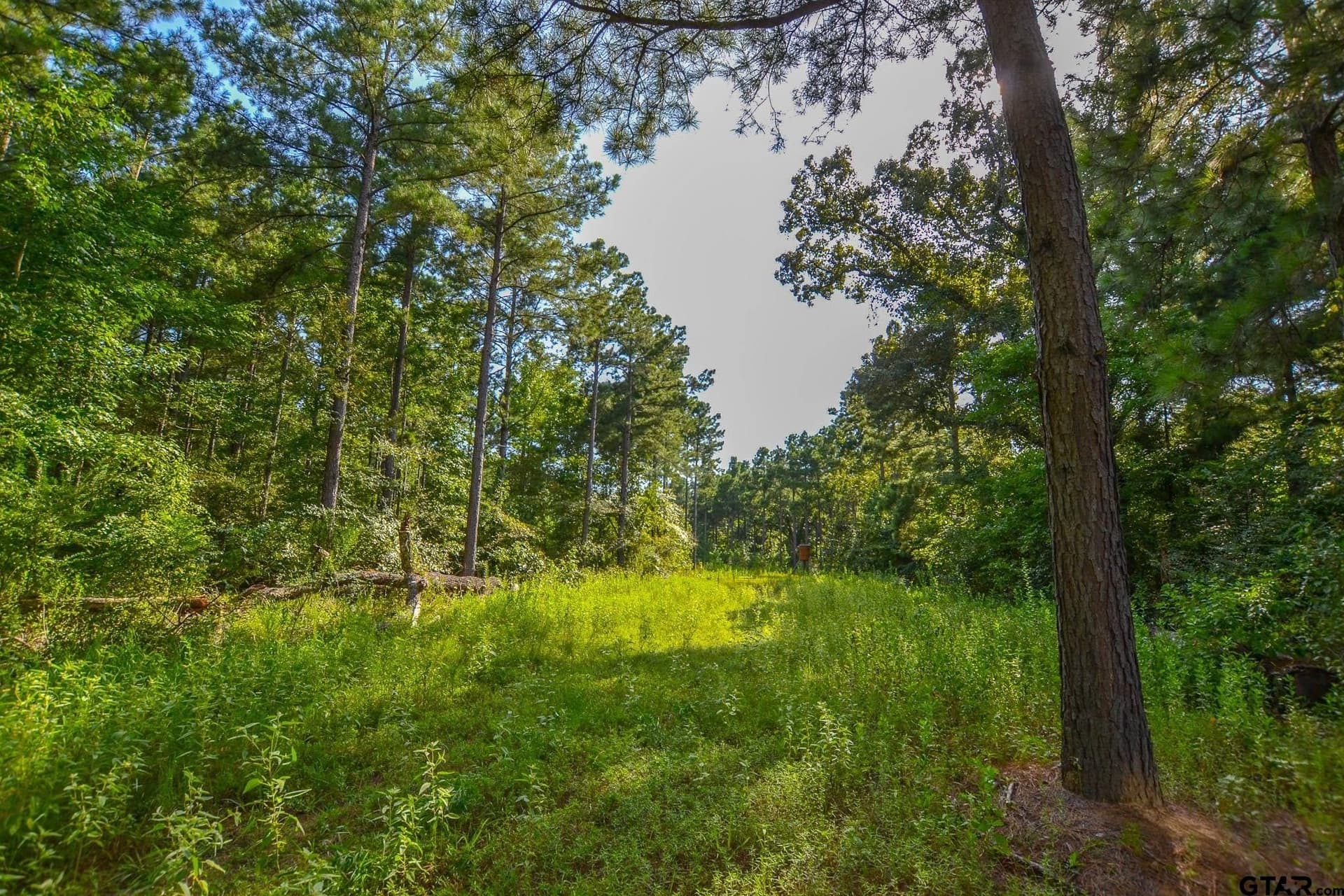 30 acres in Henderson County - photo 2