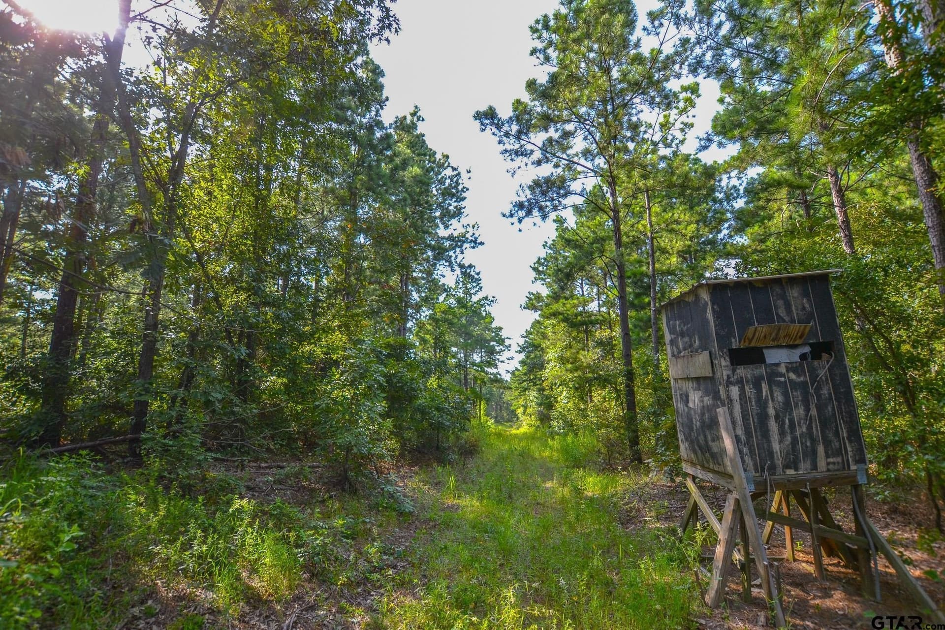 30 acres in Henderson County - photo 7