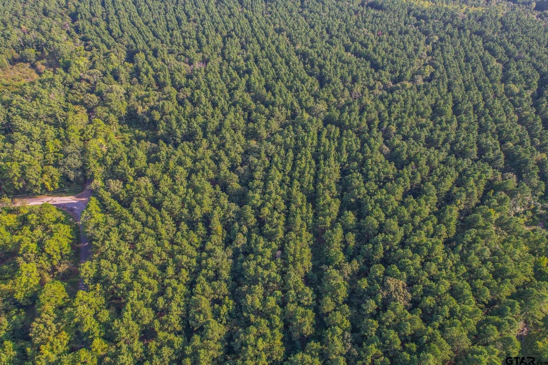 30 acres in Henderson County - photo 12