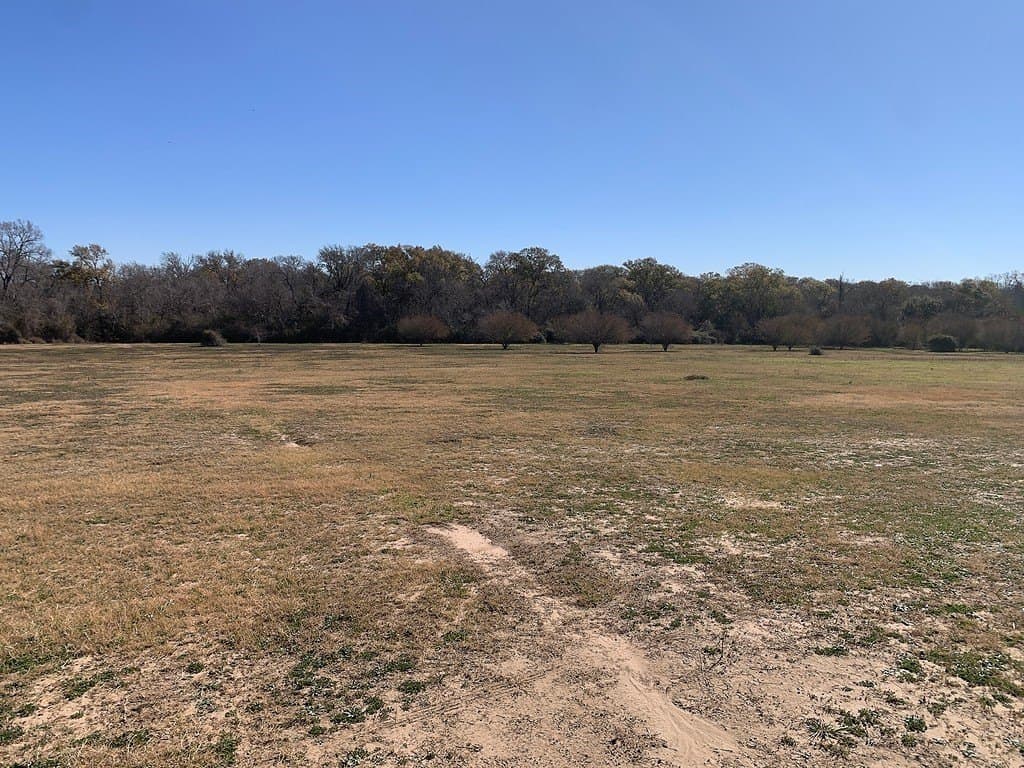 99.81 acres in Colorado County - photo 25