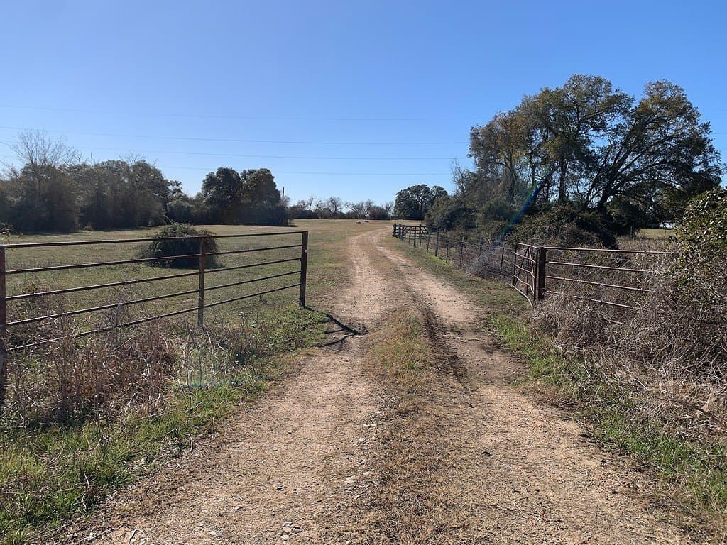 99.81 acres in Colorado County gallery image 4